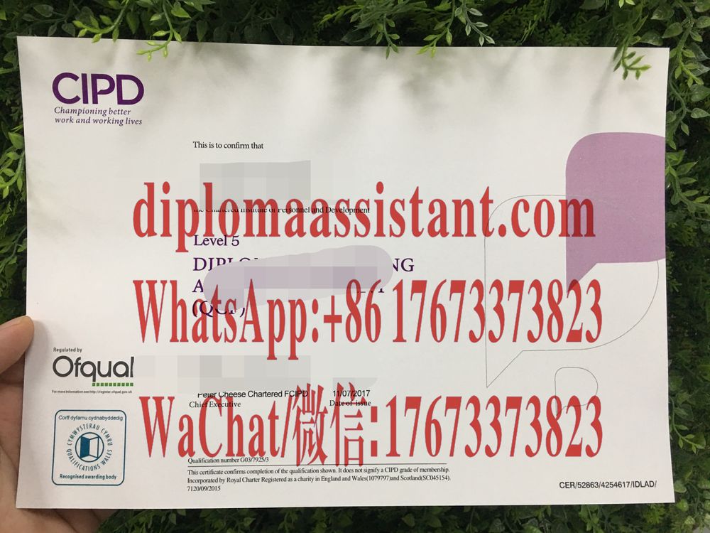 仿制假的CIPD英国特许人事与发展协会文凭