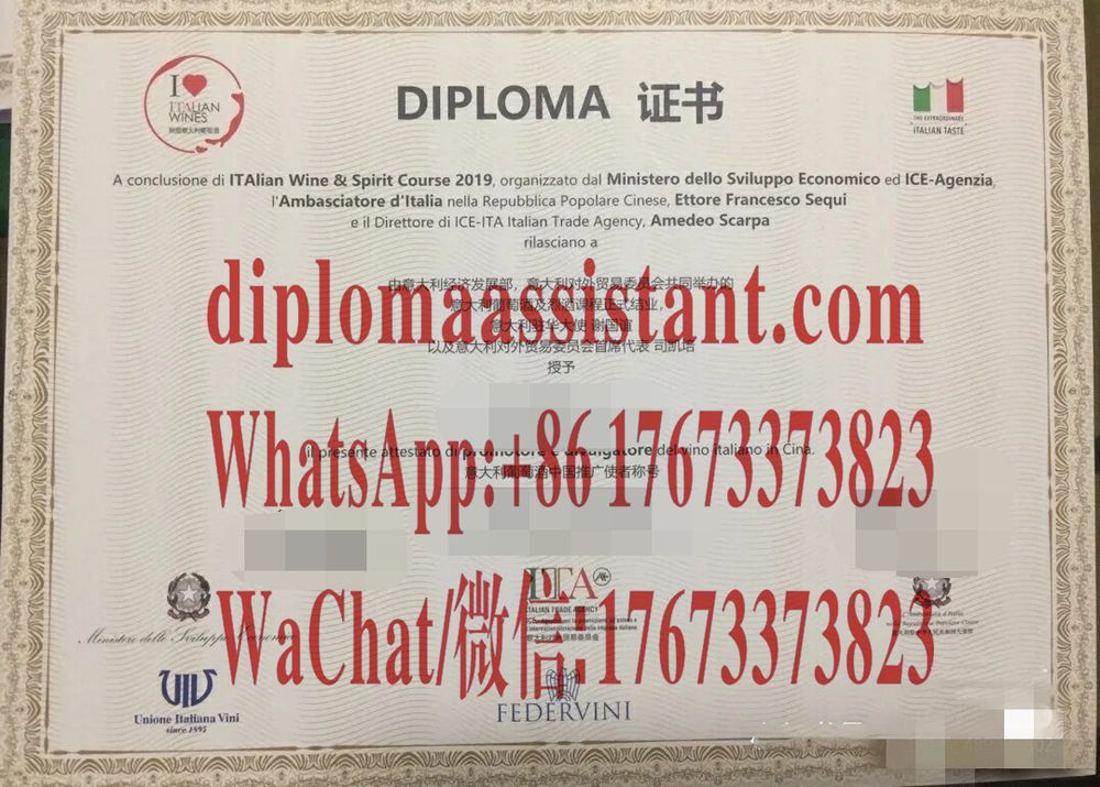 仿制假的DIPLOMA证书